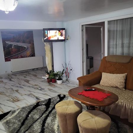 Ferienwohnung Apartament Cu Terasa Si Gratar Satu Mare Exterior foto
