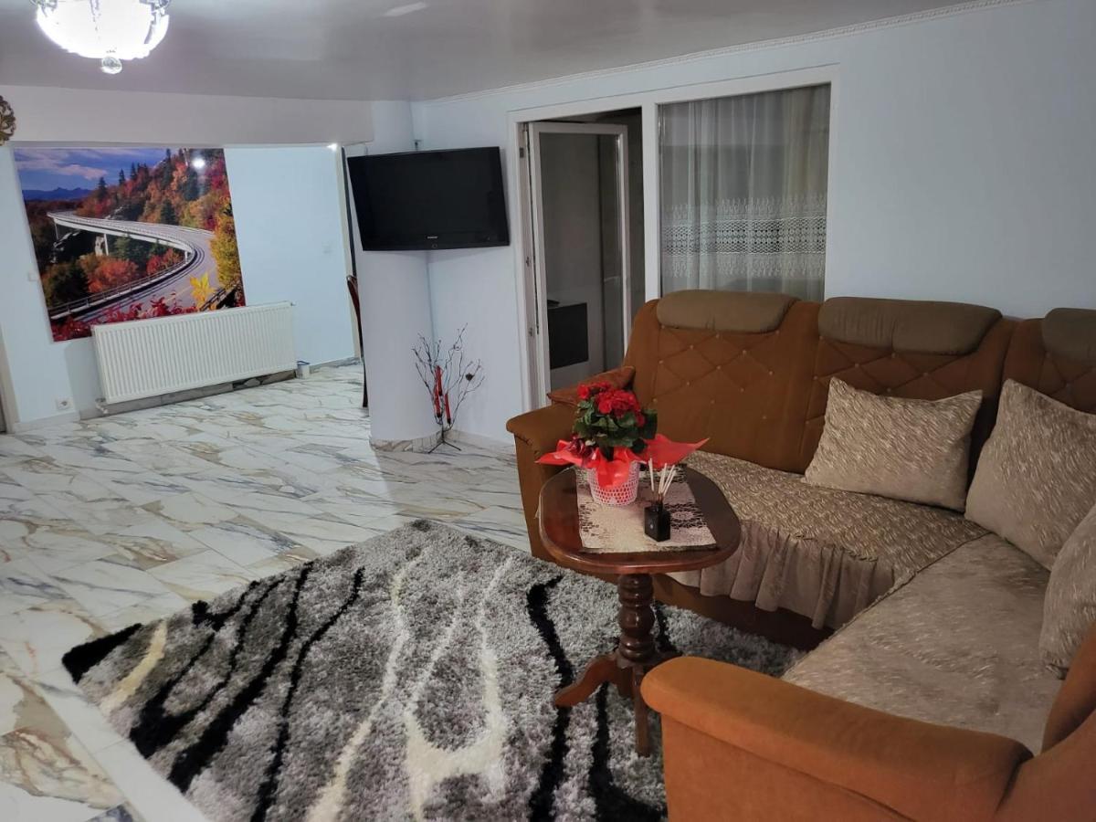 Ferienwohnung Apartament Cu Terasa Si Gratar Satu Mare Exterior foto