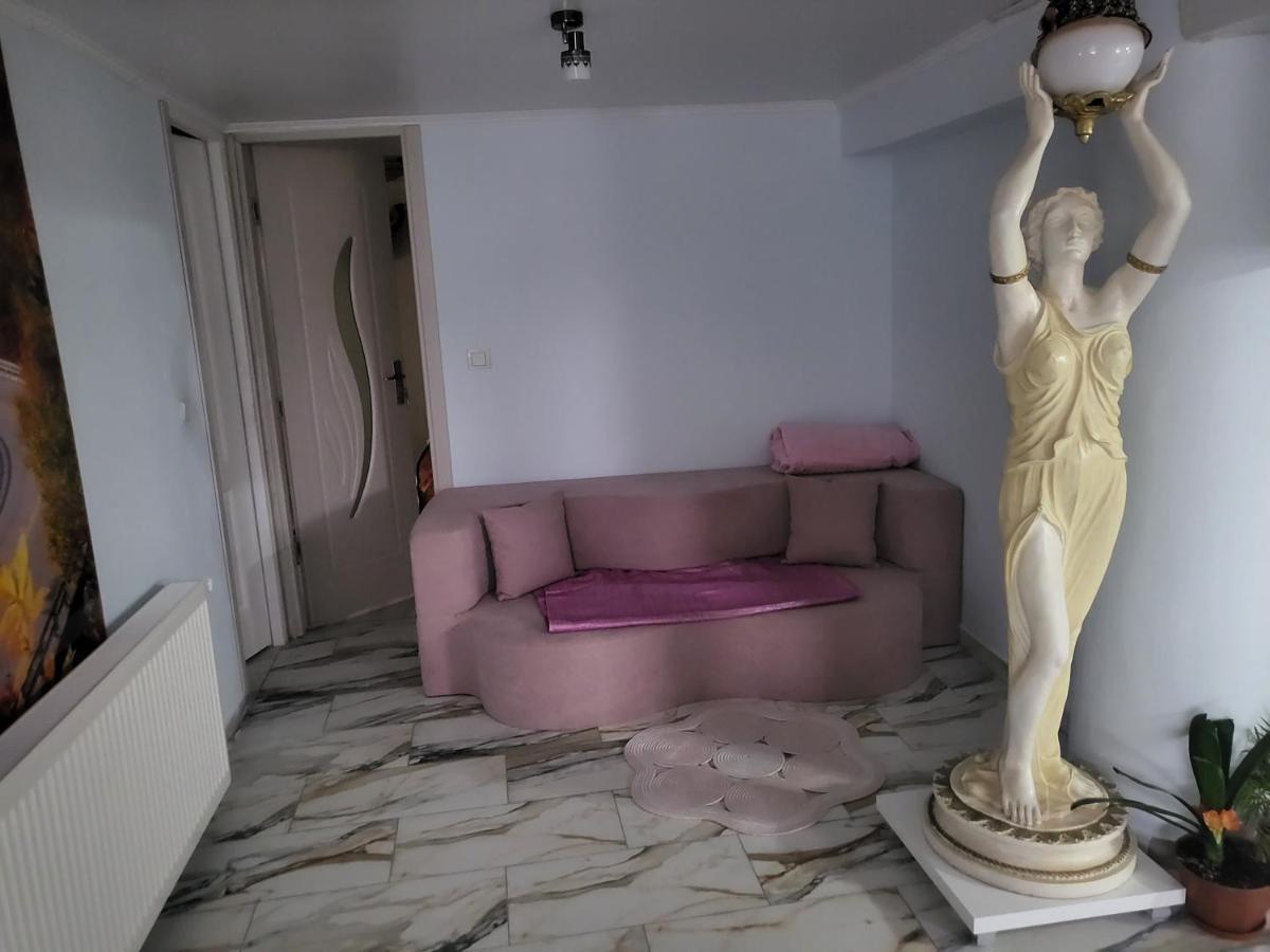 Ferienwohnung Apartament Cu Terasa Si Gratar Satu Mare Exterior foto