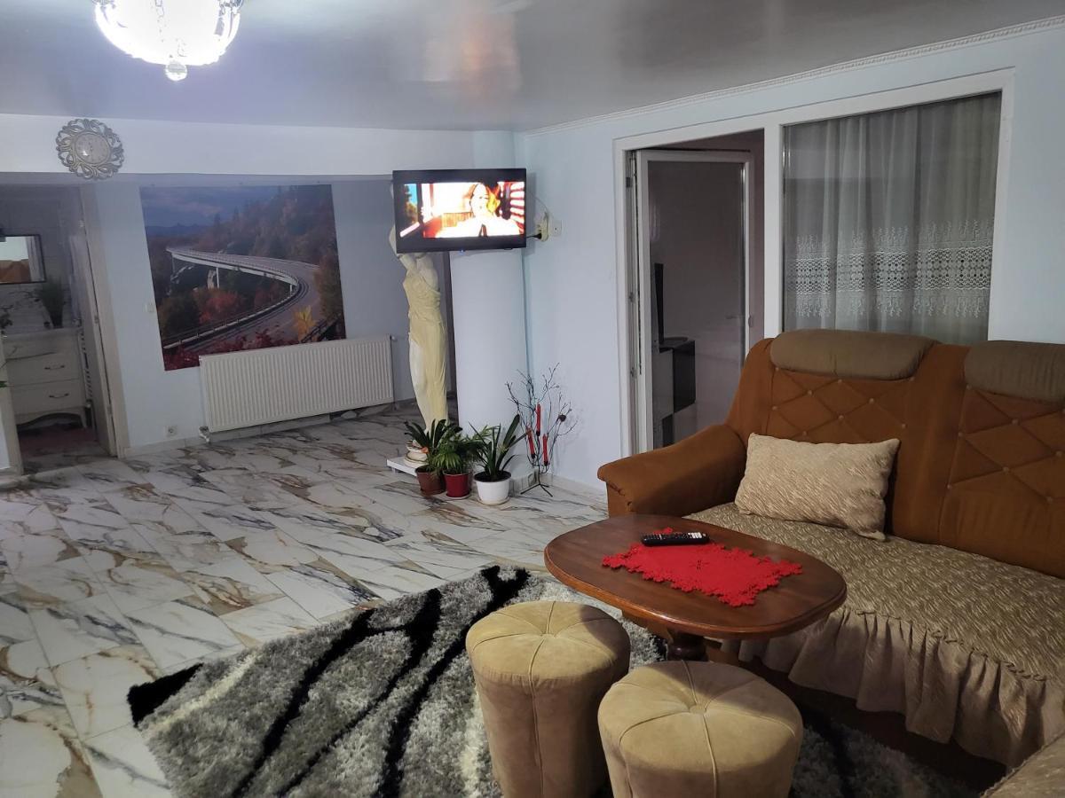 Ferienwohnung Apartament Cu Terasa Si Gratar Satu Mare Exterior foto